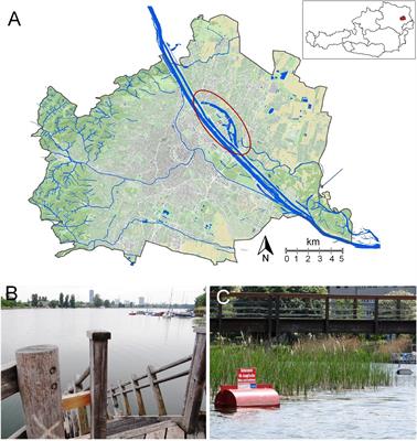 New Emphasis on Water Transparency as Socio-Ecological Indicator for Urban Water: Bridging Ecosystem Service Supply and Sustainable Ecosystem Health